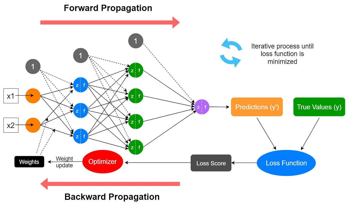 Neural network training process showing forward and backward propagation