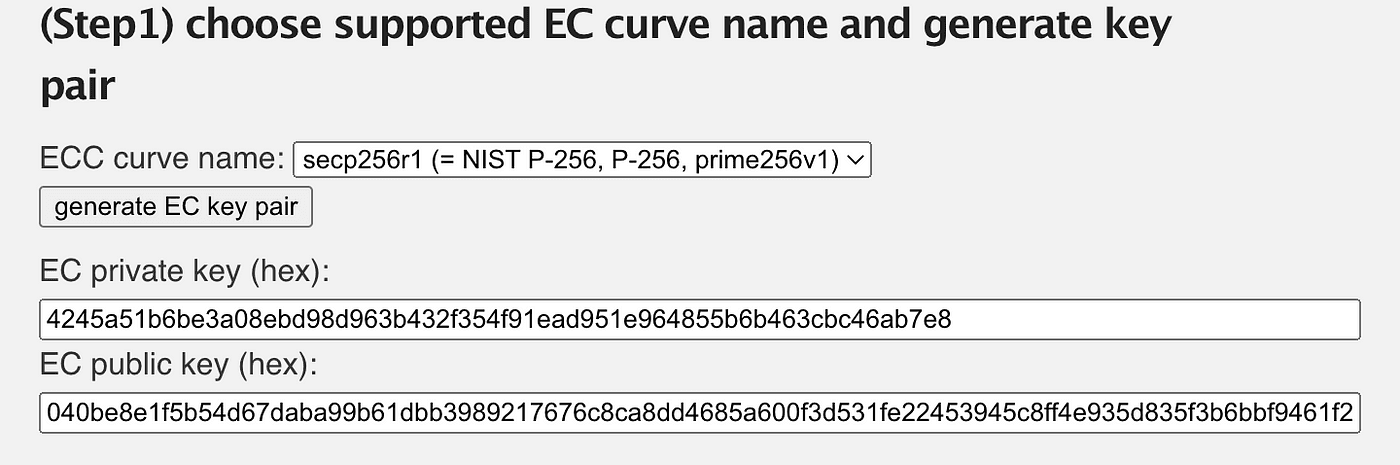 Elliptic-curve key generation tool using the secp256r1 curve, producing a private and public key pair in hex