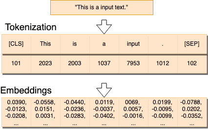 Diagram converting an input sentence into tokens, numeric token IDs, and rows of decimal embedding values